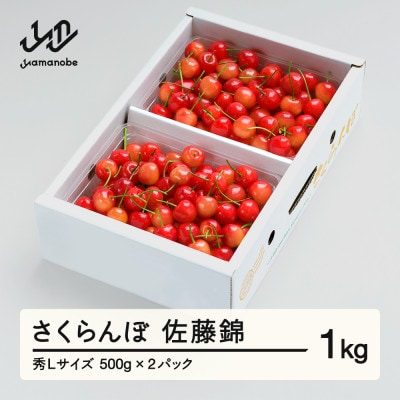 《先行予約》さくらんぼ 佐藤錦 秀Lサイズ プレゼント ギフト バラ詰め 1kg(500g×2P)