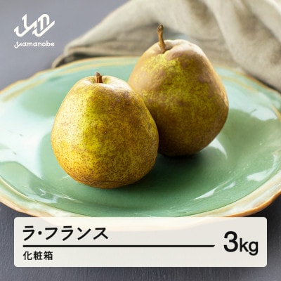《先行予約》ラ・フランス 化粧箱 3kg 令和7年産 2025年産 山形県産 ns-laxxx3