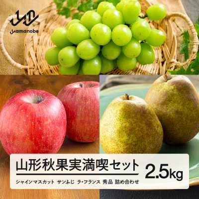《先行予約》2025年 山形秋果実満喫セット シャインマスカット サンふじ ラ・フランス 2.5kg