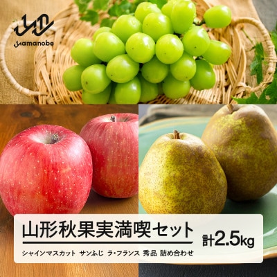 《先行予約》2025年 山形秋果実満喫セット シャインマスカット サンふじ ラ・フランス 2.5kg
