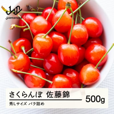 《先行予約》さくらんぼ 佐藤錦 秀Lサイズ プレゼント ギフト バラ詰め 500g