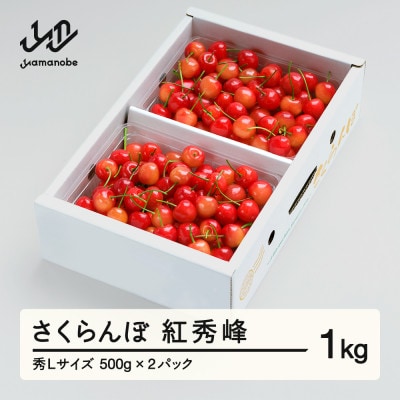 《先行予約》 さくらんぼ 紅秀峰 秀Lサイズ 1kg バラ詰め 化粧箱 (500gx2)