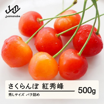 《先行予約》さくらんぼ 紅秀峰 秀Lサイズ 500g バラ詰め