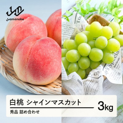 《先行受付》 白桃 シャインマスカット 秀品 詰め合わせ 3kg 令和8年産 ns-fshsx3