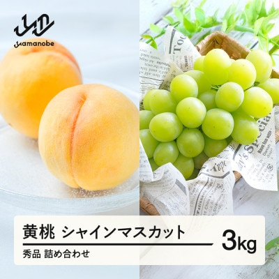 《先行予約》 有袋黄桃 シャインマスカット 秀品 詰め合わせ 3kg 令和8年産 ns-fshsx3