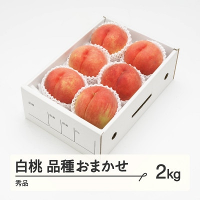 先行受付 白桃 秀品 品種おまかせ 2kg 化粧箱入り 令和8年産 山形県産 ns-mohtx2