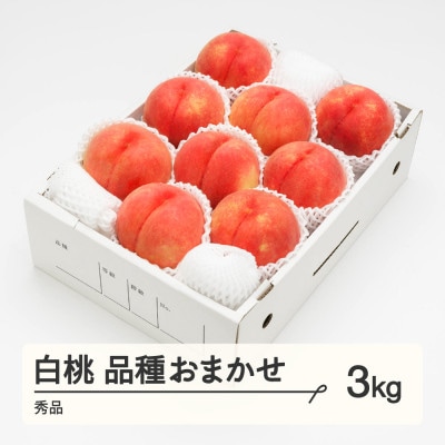 先行受付 白桃 秀品 品種おまかせ 3kg 化粧箱入り 令和8年産 山形県産 ns-mohtx3