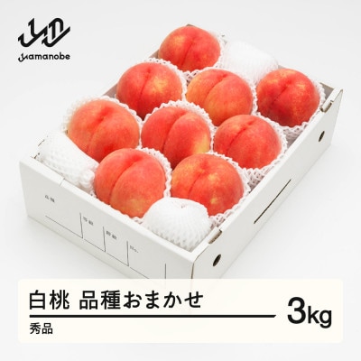 先行受付 白桃 秀品 品種おまかせ 3kg 化粧箱入り 令和8年産 山形県産 ns-mohtx3
