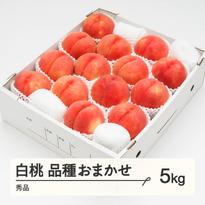 先行受付 白桃 秀品 品種おまかせ 5kg 化粧箱入り 令和8年産 山形県産 ns-mohtx5