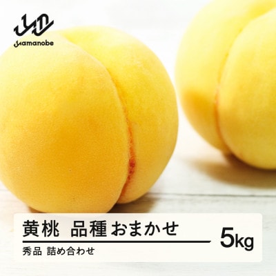 先行予約 有袋黄桃 秀品 品種おまかせ5kg 化粧箱入り 令和8年産 山形県産 ns-mootx5