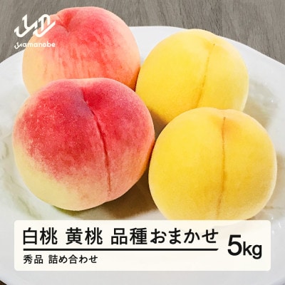 先行予約 白桃&有袋黄桃 秀品 品種おまかせ 5kg 令和8年産 山形県産 ns-mohot5