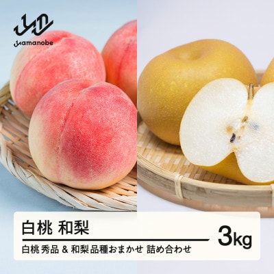 《先行予約》白桃 和梨 詰め合わせ 品種おまかせ 化粧箱入り 3kg R8年産 ns-fshnx3