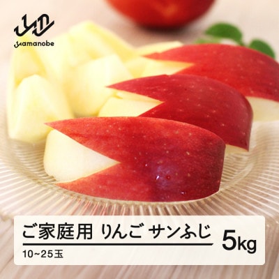 《先行予約》サンふじ ご家庭用 5kg 令和7年産 りんご ns-risfw5