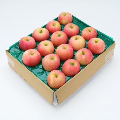 《先行予約》サンふじ ご家庭用 5kg 令和7年産 りんご ns-risfw5