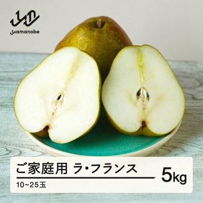 《先行予約》ラ・フランス ご家庭用 5kg 令和7年産 ns-laxxw5