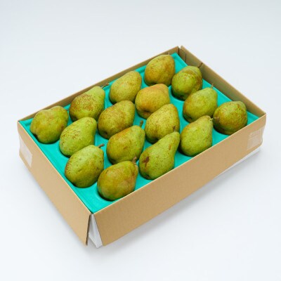 《先行予約》ラ・フランス ご家庭用 5kg 令和7年産 ns-laxxw5