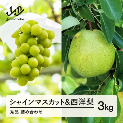 �s��s�\��t2026�N�Y�V���C���}�X�J�b�g&���m�� �G�i�l�ߍ��킹3kg ns-fssyx3