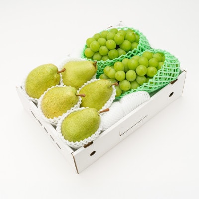 《先行予約》2026年産シャインマスカット&西洋梨 秀品詰め合わせ3kg ns-fssyx3