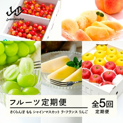 【発送月固定定期便】【先行予約】【秋始まり】フルーツ定期便全5回