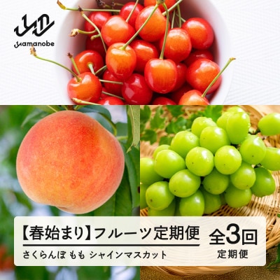 【発送月固定定期便】フルーツ定期便 佐藤錦 白桃 シャインマスカット全3回