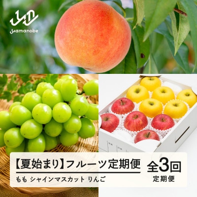 【発送月固定定期便】フルーツ定期便 白桃 シャインマスカット りんご全3回