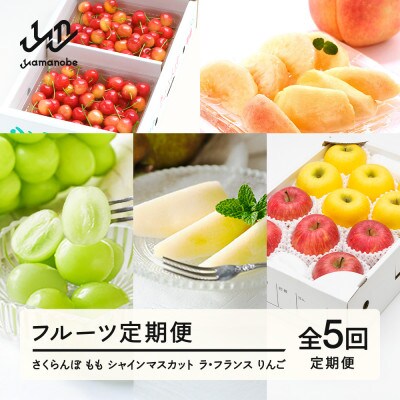 【発送月固定定期便】【春始まり】フルーツ定期便全5回