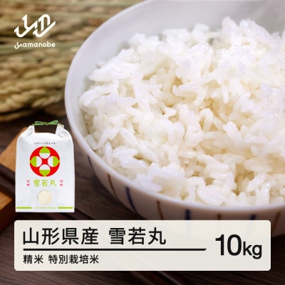 【令和7年産】ふるさと納税 山形県産雪若丸(精米) 10kg  特別栽培米