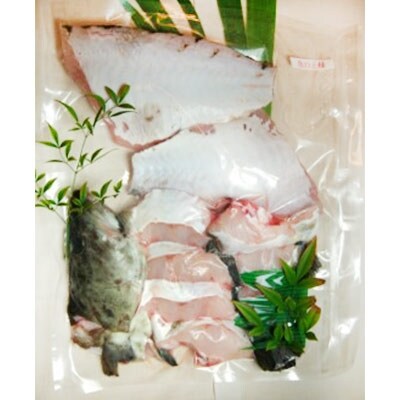 【対馬産】クエ鍋セット　3kg