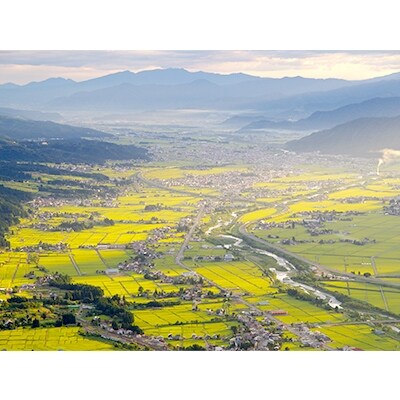 「2021年2月上旬発送」【令和2年】南魚沼産コシヒカリ(精米) 塩沢地区100% 2kg×3