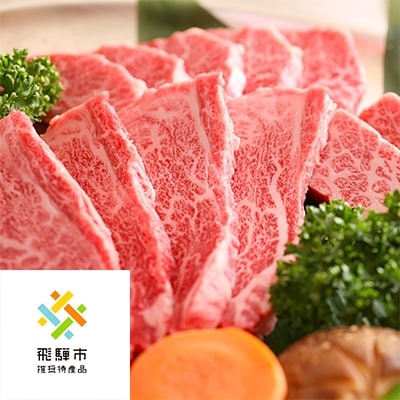 ◆飛騨市推奨特産品◆飛騨牛焼肉500g×2
