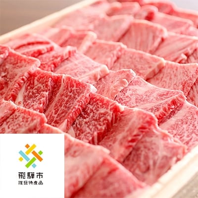 ◆飛騨市推奨特産品◆飛騨牛焼肉500g×2