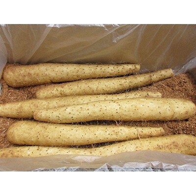 道の駅「石神の丘」長芋5kg