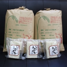 【令和4年産米】横芝光町産コシヒカリ10kg×2、生切り餅(450g×3)横芝光町産もち米使用