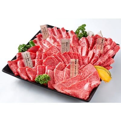 厳選佐賀牛バラエティセット(焼肉セット約1kg、ステーキ、ももスライス、ハンバーグ、ローストビーフ)