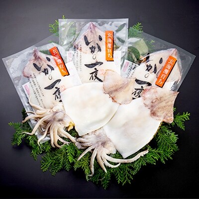【期間限定】真いか(大型)一夜干し5杯セット