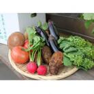 季節の野菜・農産物セット約5kg　お米付き(精米・2kg)