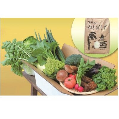 季節の野菜・農産物セット約5kg　お米付き(精米・2kg)