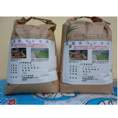 【令和6年産】茂原市産こしひかり玄米5kg×2袋