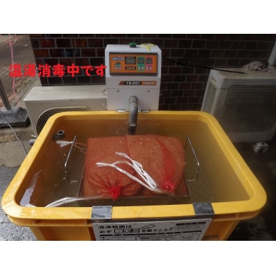 【令和6年産】茂原市産こしひかり玄米20kg