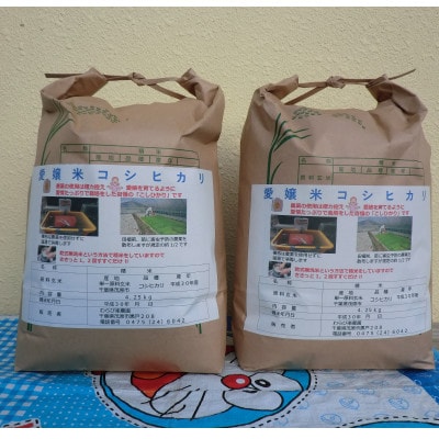 【令和5年産】茂原市産こしひかり白米4.25kg×2袋