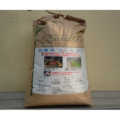 【令和5年産】茂原市産こしひかり白米8.5kg