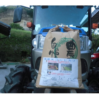 茂原市産愛嬢米こしひかり 白米 10kg