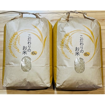 令和4年産 茂原市産「コシヒカリ」 玄米20kg(10kg×2袋)