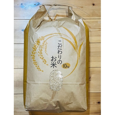 令和6年産 茂原市産 もち米「ふさのもち」 玄米10kg