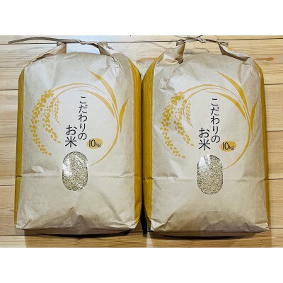 令和6年産 茂原市産「コシヒカリ」 玄米20kg(10kg×2袋)