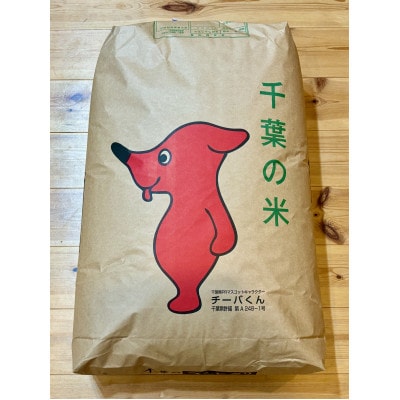 新米 令和7年産 千葉県茂原市産「コシヒカリ100%」 玄米30kg
