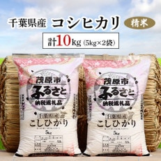 令和5年産 千葉県産コシヒカリ 精米 10kg(5kg&times;2袋)