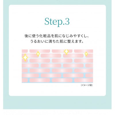 DHCリバイテック ブースターセラム 1個