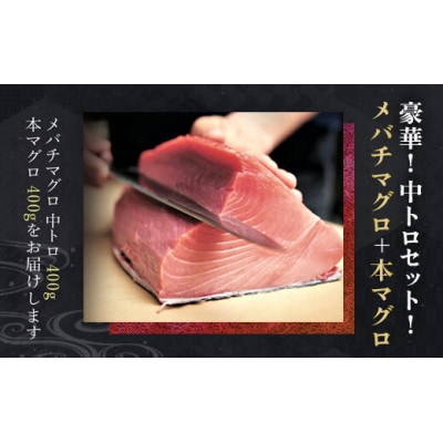 豪華!中トロセット!マグロ 中トロセット (本マグロ400g+メバチマグロ400g)