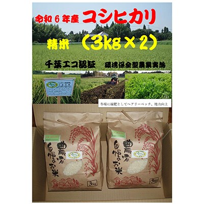 5年連続食味格付ランクS評価　千葉県茂原市産コシヒカリ6kg(3kg×2袋)精米